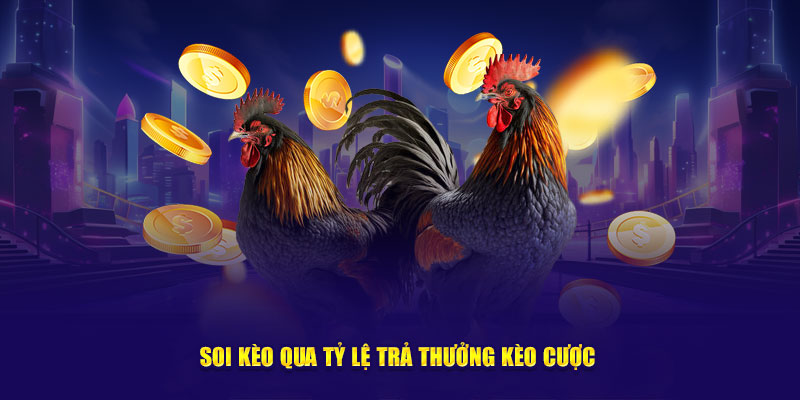 Soi kèo qua tỷ lệ trả thưởng kèo cược